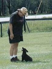 In this minimum 7 day K-9 Boot Camp Board & Train Program, your dog will receive the following training:   1.) Voice Commands (in foreign language, if requested) - Respond to �Voice� commands (beside English, if you wish, we can train your dog in German, Dutch, French, Czech or . . . ?)   2.) Focused Attention - Demonstrate that he gives automatic focused attention by looking calmly up into the face of the handler.   3.) Snap Sit - Accomplish a very snappy "Sit", with an automatic focused attention.   4.) Quick Down - Show he will do a consistent and quick �Down�.     5.) Solid Stay - Demonstrate his settling into a real solid, automatic stay with the "Down" command.   6.) Release Command - Show he will do that solid stay until the release command "Okay" is given.      7.) Reliable Recall - Demonstrate the "Here" command showing his Recall (Come) by him coming quickly and ending with a "Sit" with an automatic focused attention right in front of handler.   8.) No Pulling When "Flexi-Heeling" (Walking) casually either On-Leash Next To The Handler or out to Varying Distances Out In Front Of The Handler - Show, with the "Easy" command, on a casual walk, that the dog walks nicely at whatever distance the handler wishes, on a loose leash, without any pulling and that he turns when the handler does. Invented at Von Asgard K-9 Center, our award winning "Flexi-Heeling" offers an enjoyable walk whether at your side (like heeling), near you or out in front of you. When compared to the repressive drill team-like competition heeling commonly taught, this flexibility adds a new dimension.     9.) Walk Past Other Dogs - Show, with the "Easy" command, that the dog, while walking on-leash, can walk by other dogs and ignore them.    10.) Crate Trained - Show that the dog has learned to love his "Special Spot" (his crate), like a kid loves a tree house, by pointing and using the "Place" command.   11.) Polite Greeting - Use the "Off" command to demonstrate a Polite Greeting on-leash with the dog not bothering or jumping up when meeting people.    12.) Polite Door Manors - With the "Easy" command, demonstrate that the dog will sit and wait when going through a door or a gate.    13.) Polite Table Etiquette - With the "Easy" command, demonstrate that the dog will sit and wait till commanded to eat.    14.) Distractions - Work these exercises while under slight distractions.    15.) "Invisible Leash" - Introduction to and understanding of the E-collar.    16.) Two Hour Graduation Program - When our training has been completed there will be a 2 hour Graduation Program to catch you up with what your dog now knows and all the commands and how to handle him.    17.) Lifetime Training Guarantee - Receive Von Asgard K-9 Center�s 3 way lifetime training guarantee. See below for details.    18.) "Invisible Leash" Remote Collars, if requested, are available at an extra cost (between $199 - $299) from Von Asgard.      