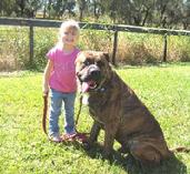 At Euro Pros K-9 Center, we work with young children too!