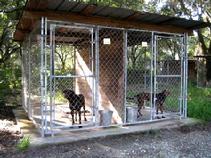 This is a typical super-sized kennel at Von Asgard K-9 Center. It provides for two 5' x 10' kennels.