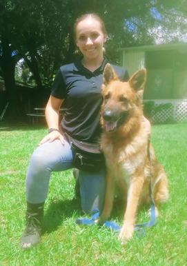 Jamie Cline, one of Euro Pros' Certified Trainers shown here with Bear a German Shepherd Service Jamie is training.