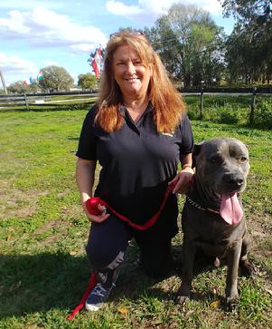 Lynn Conway, Euro Pros' General Manager & Training Director with Ranger, a Cane Corso that Lynn is working with.